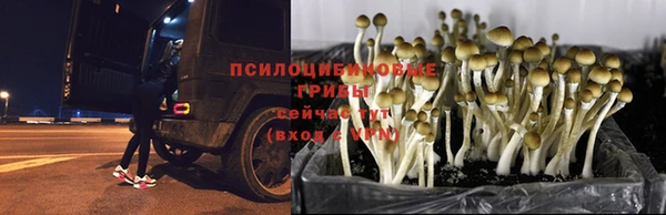 мефедрон Новокубанск
