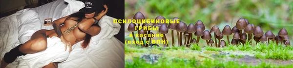 эйфоретик Новодвинск