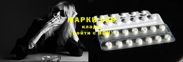 эйфоретик Новодвинск