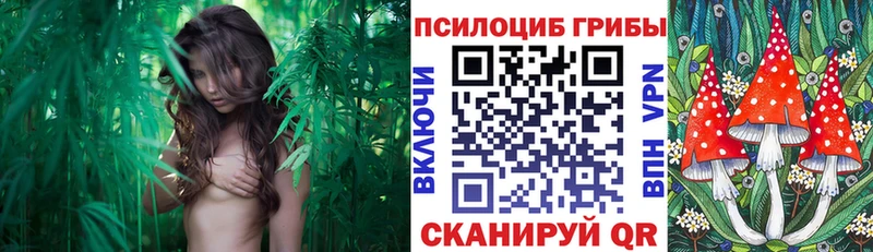 Галлюциногенные грибы прущие грибы  Купить где  Санкт-Петербург 